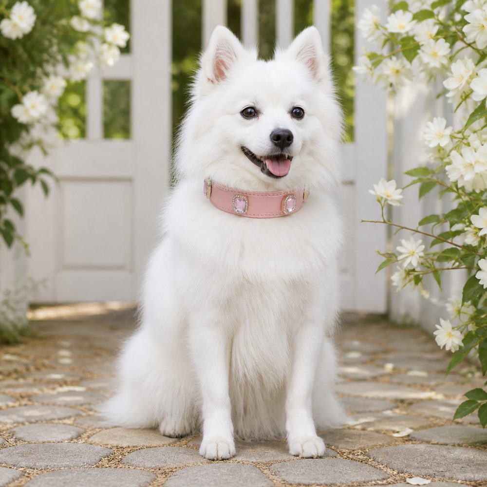 Blush Crystal Dog Collar with Pink Gemstone Accents