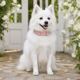 Blush Crystal Dog Collar with Pink Gemstone Accents