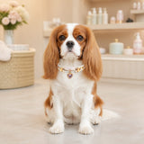 Rainbow Stitch White Dog Collar with Pink Crystal Heart Charm