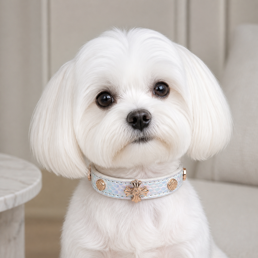 Iridescent Bloom Dog Collar with Rose-Gold Floral Accent