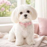 Peach Heart Dog Collar with Gold-Tone Hardware and Crystal Charm