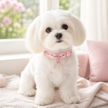 Peach Heart Dog Collar with Gold-Tone Hardware and Crystal Charm