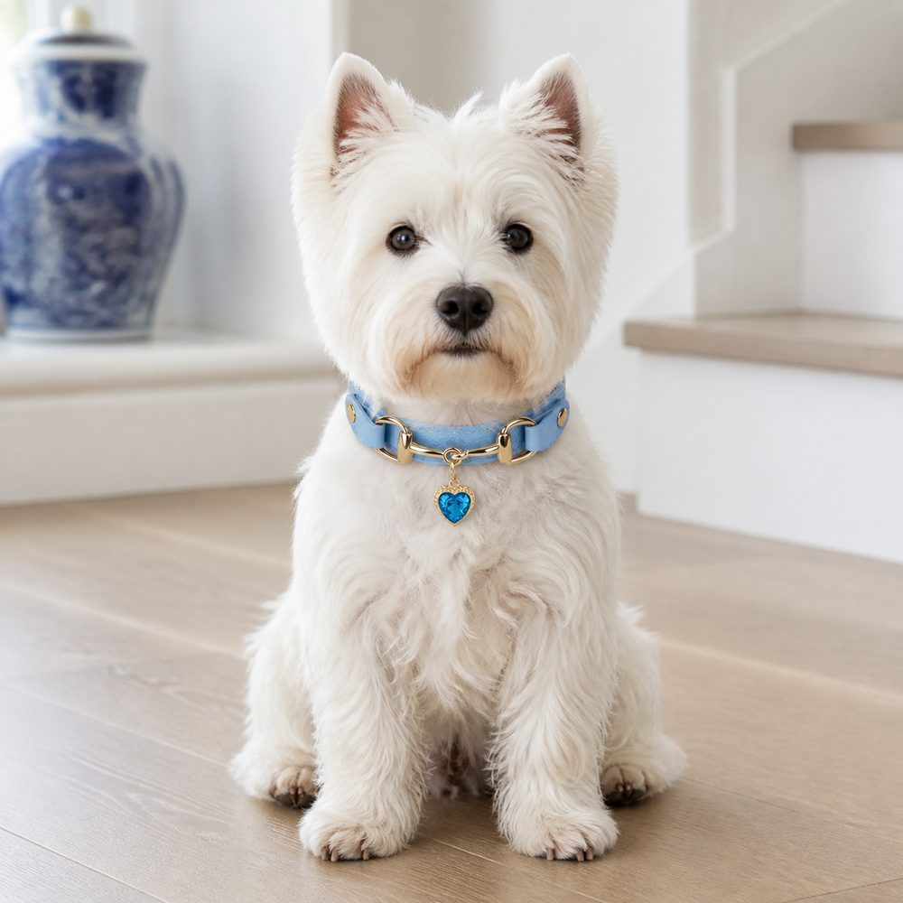 Azure Heart Dog Collar with Gold-Tone Bit and Blue Crystal Charm