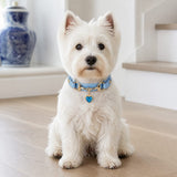 Azure Heart Dog Collar with Gold-Tone Bit and Blue Crystal Charm