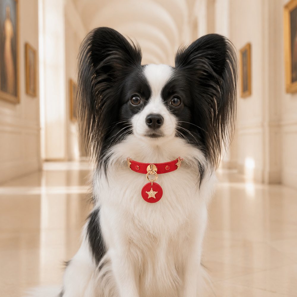 Crimson Guardian Dog Collar with Gold Rings and Sheriff-Star Medallion