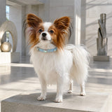 Icy Aurora Dog Collar with Woven Texture and Iridescent Crystals