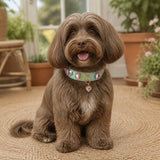 Prismatic Scale Dog Collar with Pink Crystals and Heart Charm