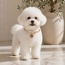 Rainbow Stitch White Dog Collar with Pink Crystal Heart Charm