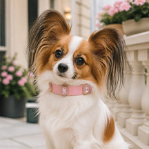 Blush Crystal Dog Collar with Pink Gemstone Accents