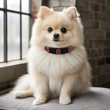 Obsidian Ruby Dog Collar with Croc-Embossed Finish and Crystal Accents