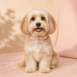 Peach Heart Dog Collar with Gold-Tone Hardware and Crystal Charm