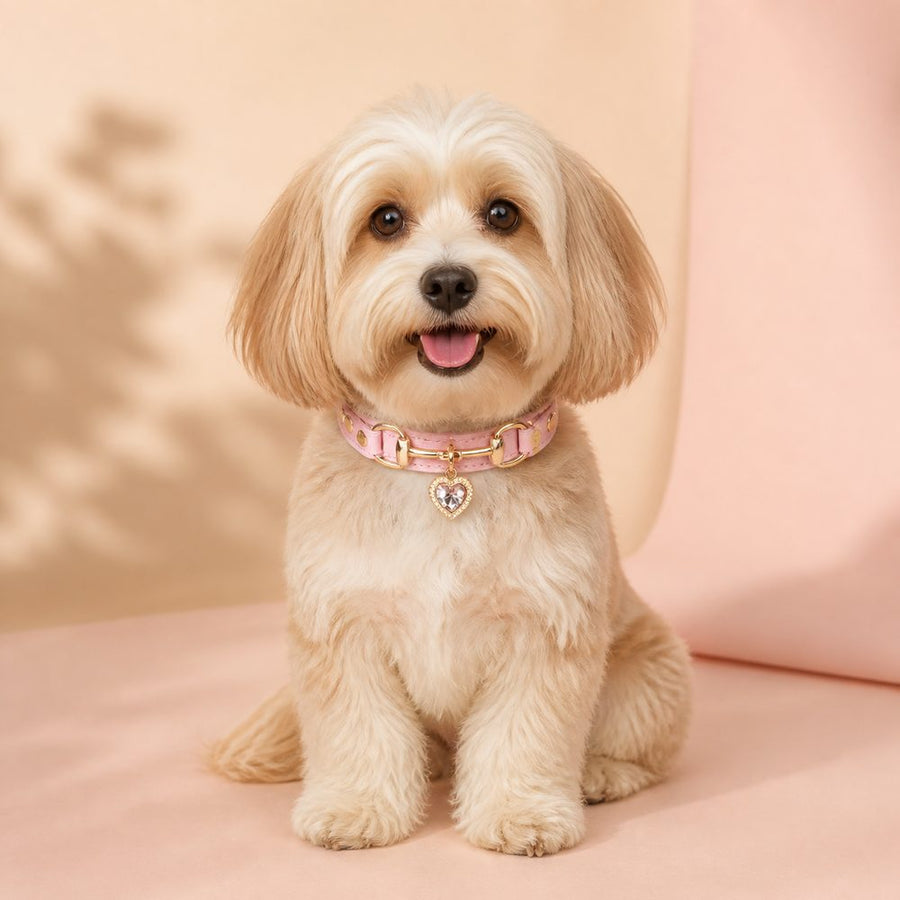 Peach Heart Dog Collar with Gold-Tone Hardware and Crystal Charm