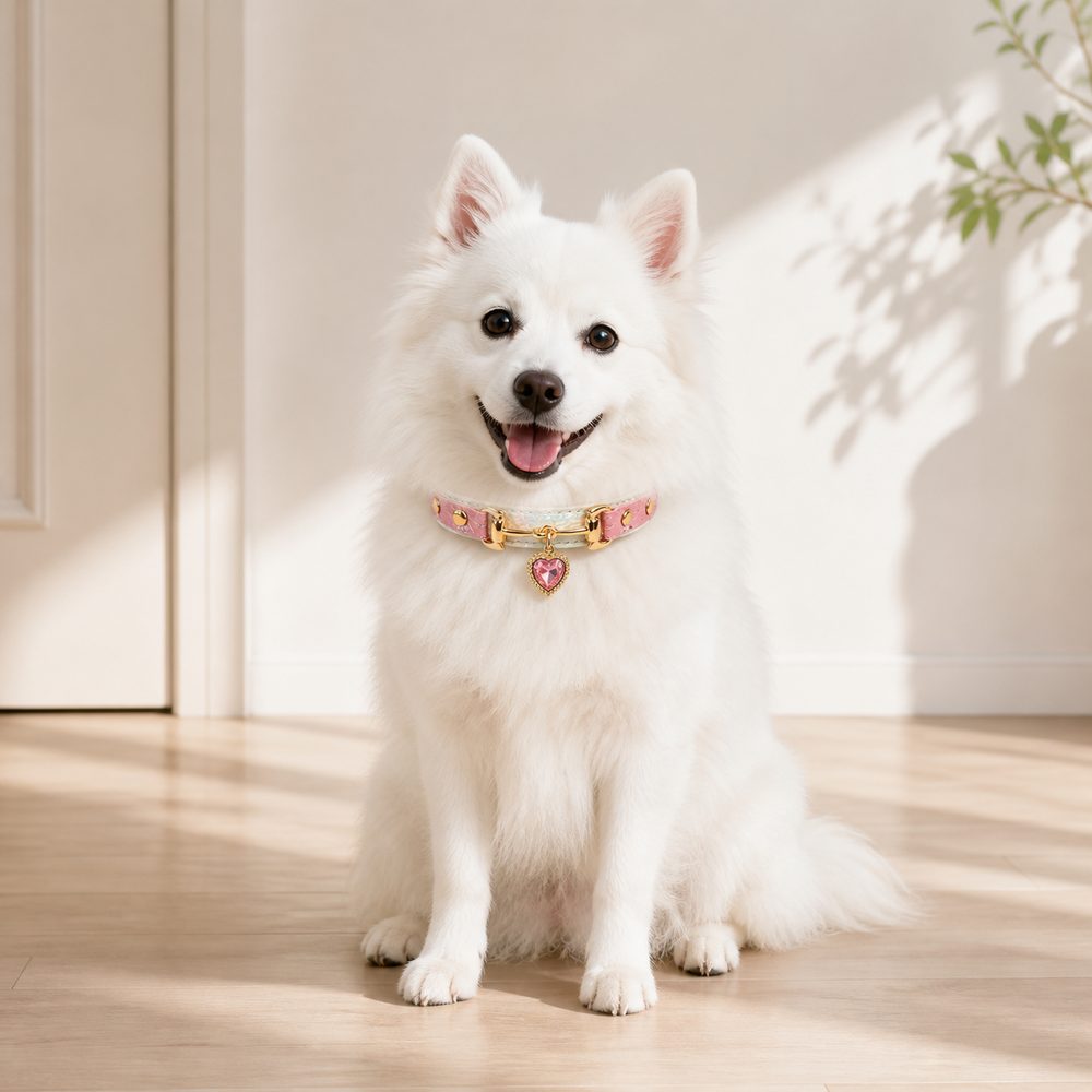 Blush Prism Dog Collar with Pink Crystal Heart Charm