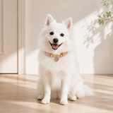 Blush Prism Dog Collar with Pink Crystal Heart Charm
