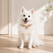 Blush Prism Dog Collar with Pink Crystal Heart Charm