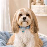 Azure Heart Dog Collar with Gold-Tone Bit and Blue Crystal Charm