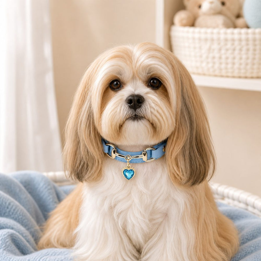 Azure Heart Dog Collar with Gold-Tone Bit and Blue Crystal Charm