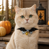 Haunted Web Cat Collar with Bat Wings, Bow and Pumpkin Bell