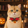 Scarlet Bat Cat Collar with Pumpkin Bow and Halloween Bell