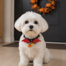 Crimson Bat-Wing Dog Collar with Halloween Pumpkin Charms