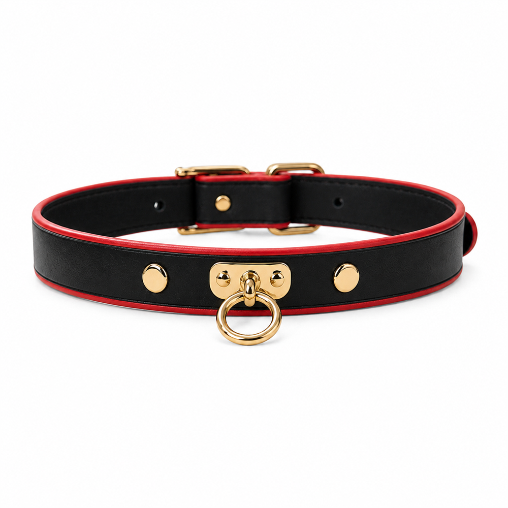 Crimson Edge Dog Collar with Black Finish and Gold Ring Detail