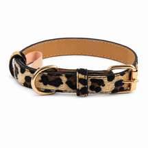 Wild Leopard Cat Collar with Soft Texture and Gold Rings