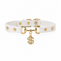 Golden Fortune White Dog Collar with Crystal Dollar Charm