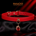 Crystal Minimalist Adjustable Choker