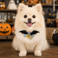 Midnight Bat-Wing Dog Collar with Skull Bow and Halloween Charms