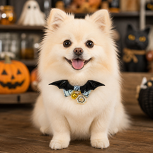 Midnight Bat-Wing Dog Collar with Skull Bow and Halloween Charms