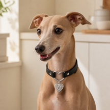 Guardian Heart Black Dog Collar with Silver Filigree Charm
