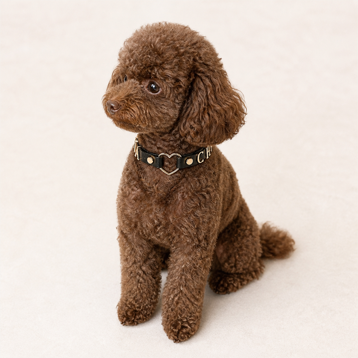 Golden Heart “GOOD GIRL” Dog Collar