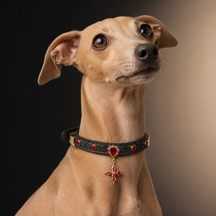 Crimson Crest Dog Collar with Red Crystals and Heritage Cross