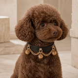 Black and Gold Dog Collar with Triple Filigree Orbs and Draped Chains