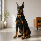 Black-Tie Dog Collar with Gold Bow Detail
