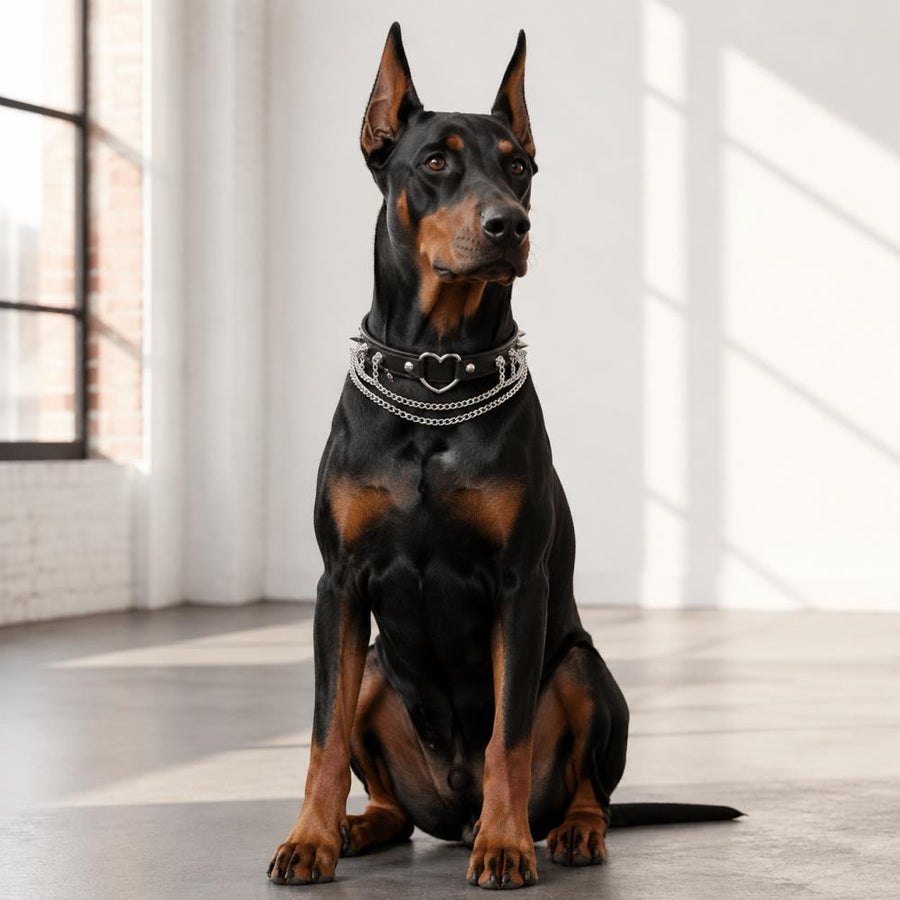 Midnight Heart Dog Collar with Silver Spikes and Layered Chains