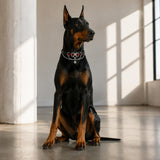 Crimson Wing Dog Collar with Heritage Emblem and Silver Chains