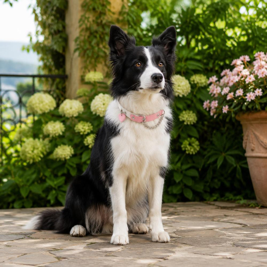 Peach Heart Dog Collar with Pink-and-White Design and Silver Chain