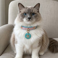 Blush Aqua Wish Cat Collar with Crystal Star Medallion