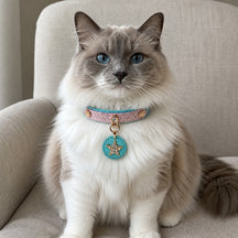 Blush Aqua Wish Cat Collar with Crystal Star Medallion