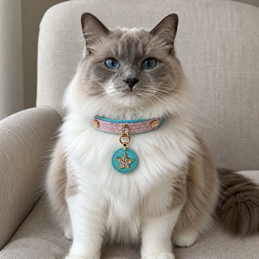 Blush Aqua Wish Cat Collar with Crystal Star Medallion