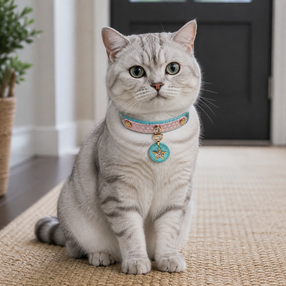 Blush Aqua Wish Cat Collar with Crystal Star Medallion