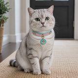 Blush Aqua Wish Cat Collar with Crystal Star Medallion