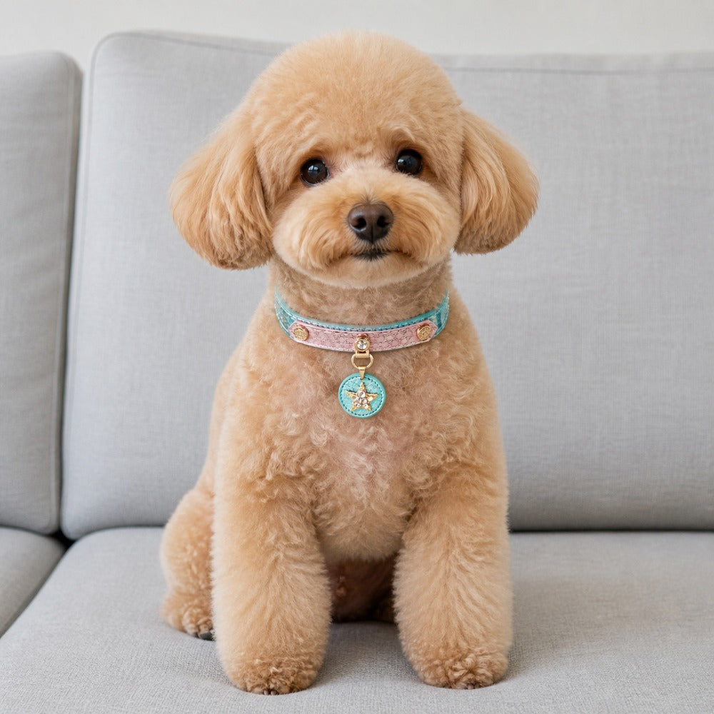Starlit Ocean Dog Collar with Blue-Pink Finish and Crystal Star Medallion