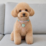 Starlit Ocean Dog Collar with Blue-Pink Finish and Crystal Star Medallion