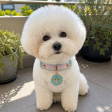 Starlit Ocean Dog Collar with Blue-Pink Finish and Crystal Star Medallion