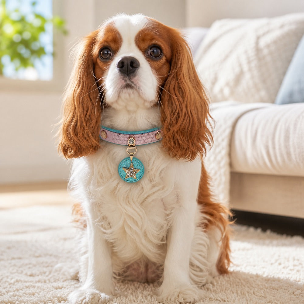 Starlit Ocean Dog Collar with Blue-Pink Finish and Crystal Star Medallion
