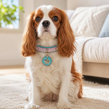 Starlit Ocean Dog Collar with Blue-Pink Finish and Crystal Star Medallion