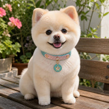 Starlit Ocean Dog Collar with Blue-Pink Finish and Crystal Star Medallion