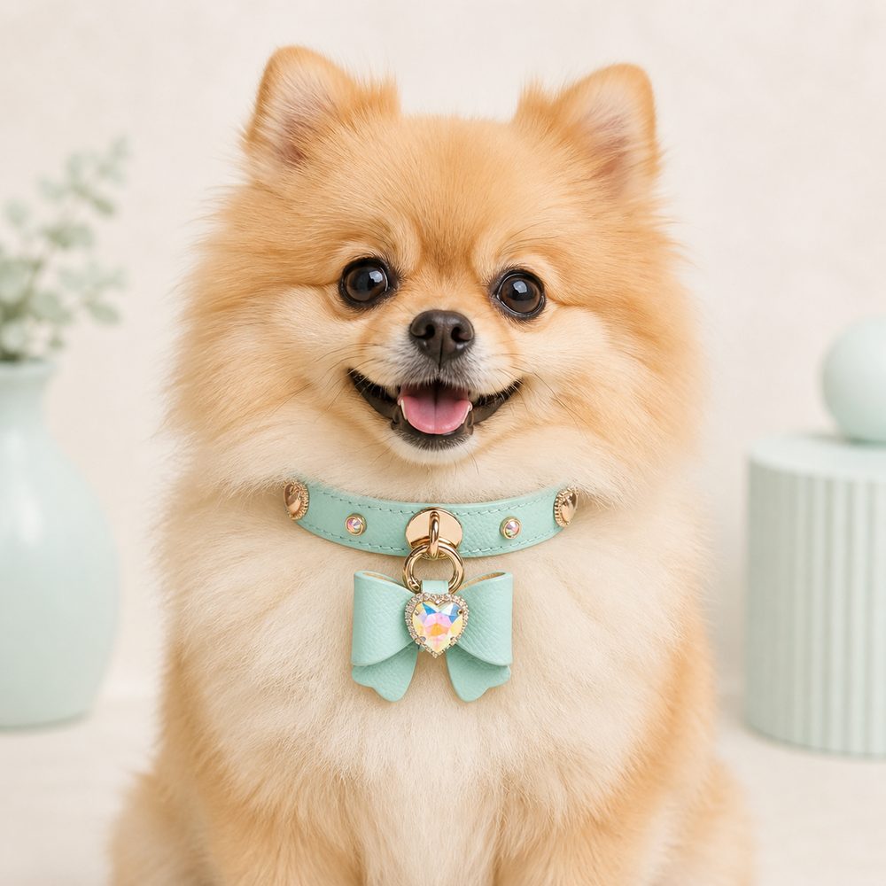 Mint Bow Dog Collar with Iridescent Crystal Heart Charm